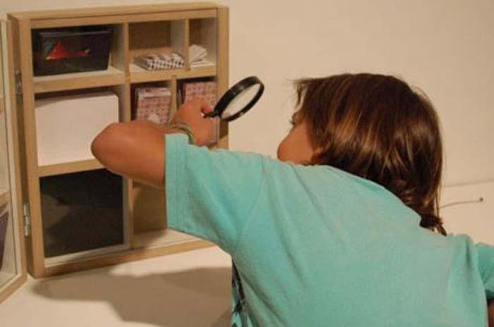 Projeto &acute;Obra Invent&aacute;rio - Biblioteca de Bolso&acute;, de Luciana Paiva, foi um dos contemplados do ano passado