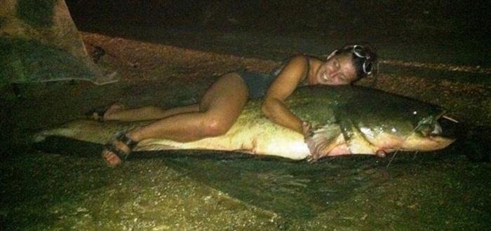 Brit&acirc;nica pesca peixe-gato de 100 quilos