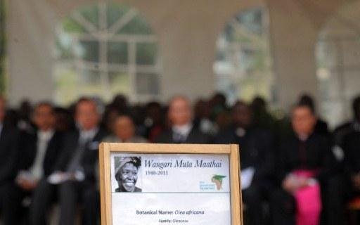 Wangari Maathai obteve notoriedade internacional em 2004 com o pr&ecirc;mio Nobel da Paz