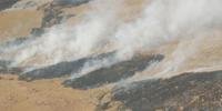Já foram combatidos 184 incêndios em matas e campos em 2011