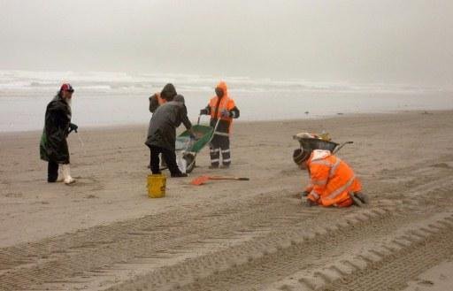 Contamina&ccedil;&atilde;o j&aacute; atingiu 6 quil&ocirc;metros de praias na Ba&iacute;a de Plenty
