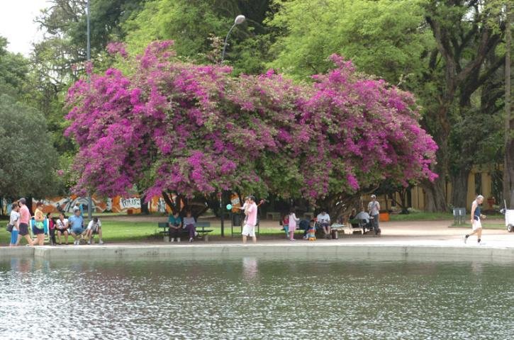Sol atraiu pais e filhos para os parques
