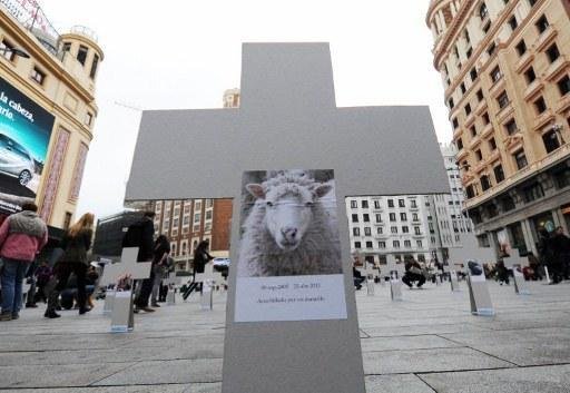 Ativistas criam cemit&eacute;rio de animais pra protestar na Espanha
