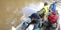 Fiscais recolheram rede de pesca ilegal no Rio do Sinos