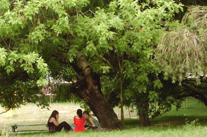 Temperatura chega a 38,1&ordm;C com risco de temporais no Estado