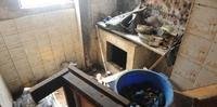 Apartamento com mais de 20 gatos, apresentava falta de higiene e comida espalhada pelo chão