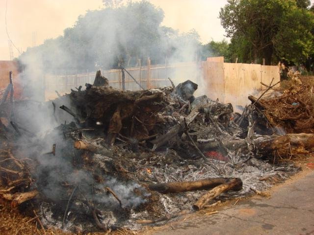 Fogo foi ateado em &aacute;rvores cortadas que estavam sobre uma cal&ccedil;ada