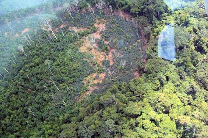 Territ&oacute;rio localizado entre os estados de Amazonas e Roraima foi criado oficialmente em 1992