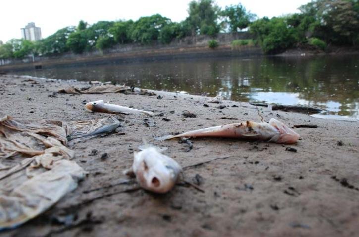 N&iacute;vel do rio no in&iacute;cio da tarde desta quarta-feira estava em 1,20 metro