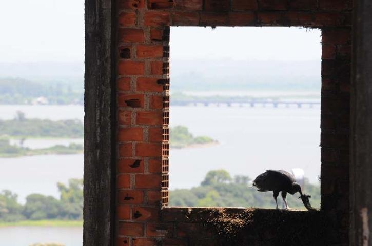 Casal nunca foi avistado junto pela vizinhan&ccedil;a