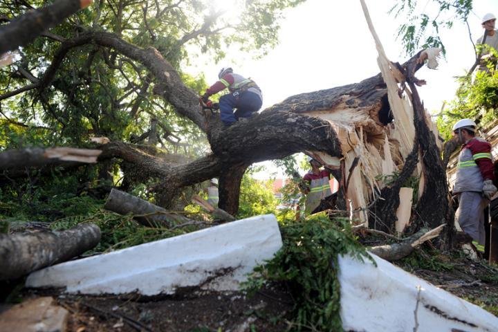 Em todo o Estado, aproximadamente 95,2 mil pontos seguem sem luz nesta quinta-feira, em raz&atilde;o do temporal de ontem