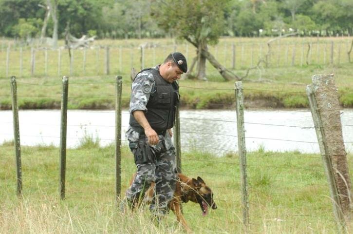 Policiais vasculharam a &aacute;rea &agrave; procura de explosivos