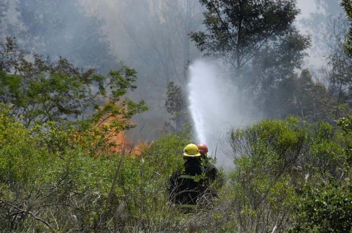 Bombeiros trabalham para que chamas n&atilde;o cheguem a empresas de g&aacute;s das proximidades