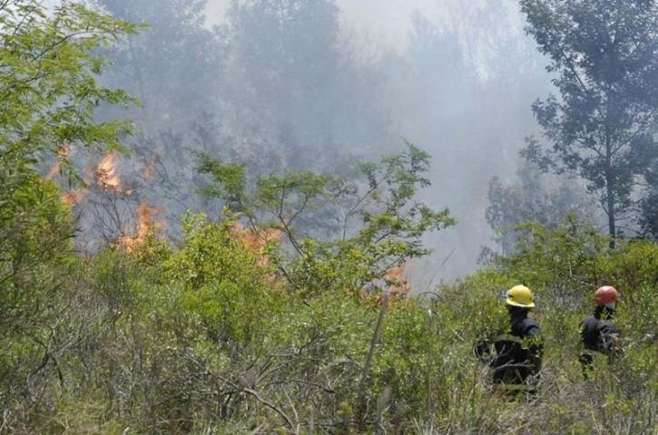 Grupo permanecer&aacute; de plant&atilde;o at&eacute; ter&ccedil;a-feira
