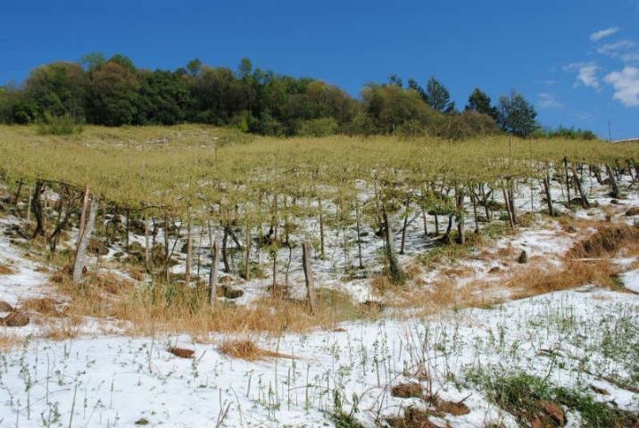 Caxias do Sul teve mais de 640 propriedades afetadas pelo granizo