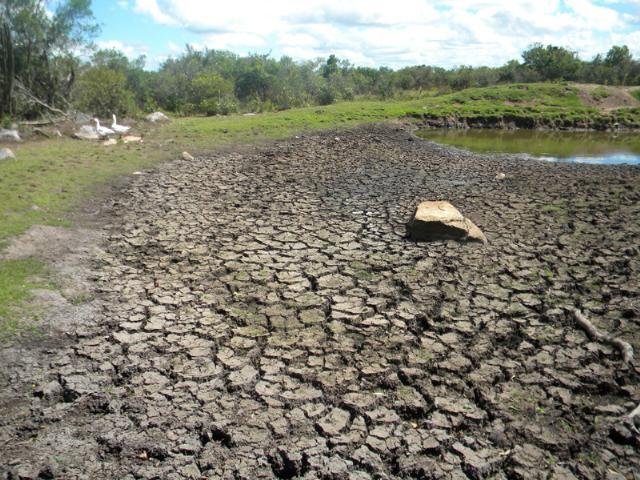Chegada do ver&atilde;o deve agravar estiagem no Estado