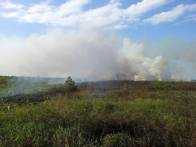Fogo se alastrou por cerca de dois hectares