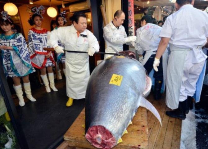 Peixe foi leiloado hoje em T&oacute;quio