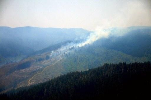 Focos de inc&ecirc;ndio se intensificaram nos &uacute;ltimos dias no Chile