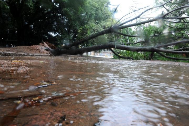 Chuva causou estragos at&eacute; s&aacute;bado em Porto Alegre