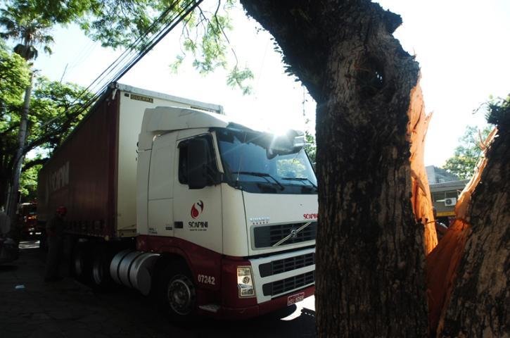 Motorista de um caminh&atilde;o teria perdido o controle do ve&iacute;culo e colidido contra a &aacute;rvore