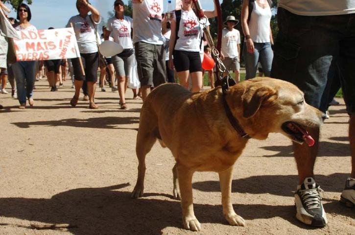 Centenas protestaram contra a viol&ecirc;ncia aos animais
