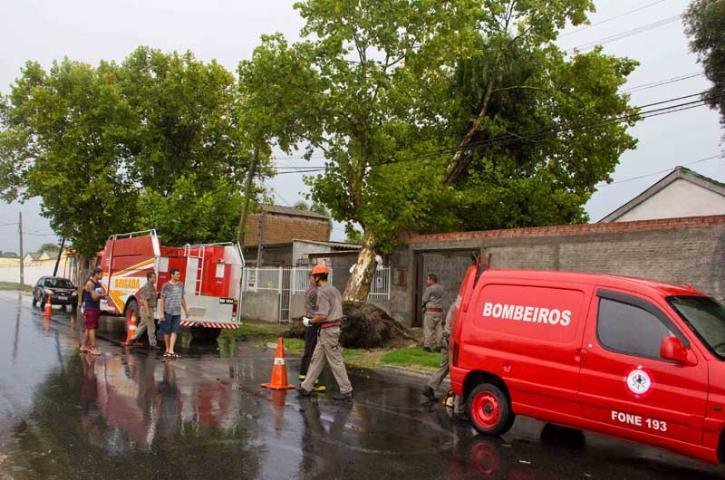 Temporal derrubou pelo menos dez &aacute;rvores na cidade