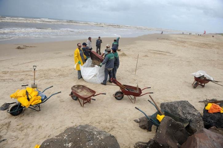 Vazamento de &oacute;leo pode ter causado mortes de animais no Litoral Norte