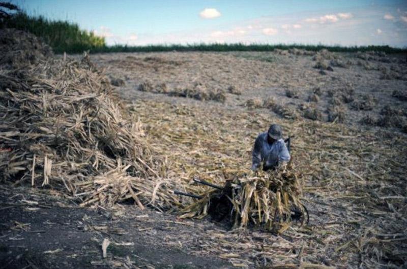 Sai lista de socorro priorit&aacute;rio contra a seca