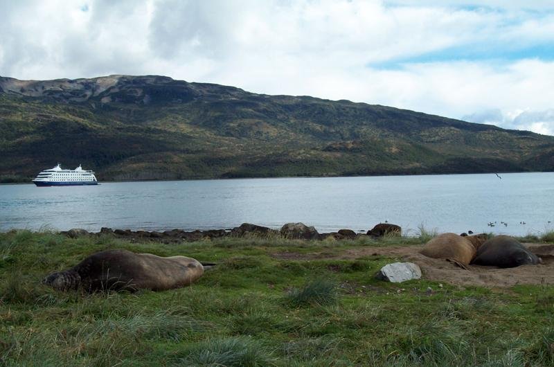 O percurso a bordo do cruzeiro de expedi&ccedil;&atilde;o Stella Australis encerra-se nesta ter&ccedil;a-feira, no Cabo Horn