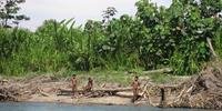 Amazônia perdeu mais de 200 km² de florestas em dois meses