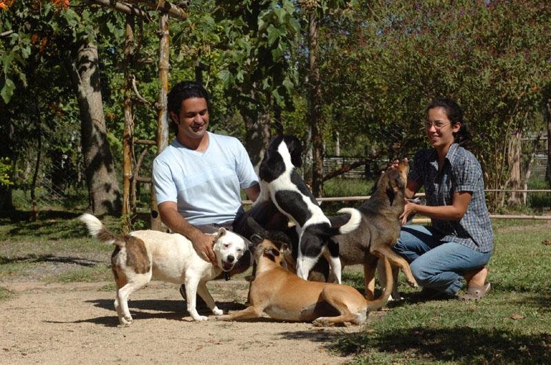Protetores de animais: uma corrente do bem
