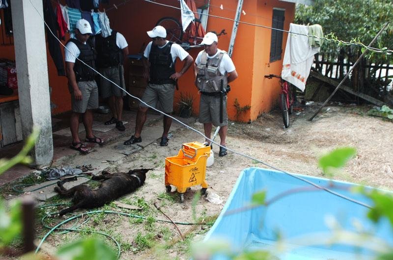 Morre crian&ccedil;a atacada por cachorro em Cap&atilde;o da Canoa