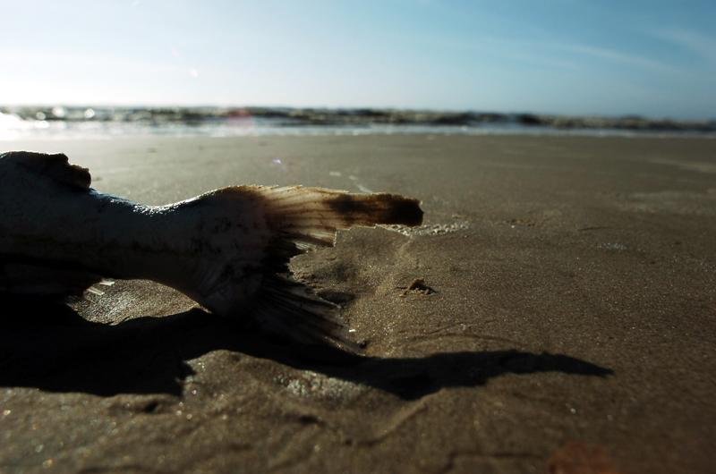 A temperatura est&aacute; em torno de 25 graus