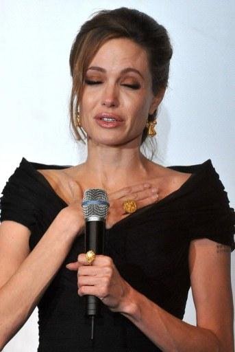 Para Angelina Jolie, &eacute; hora de intervir na S&iacute;ria