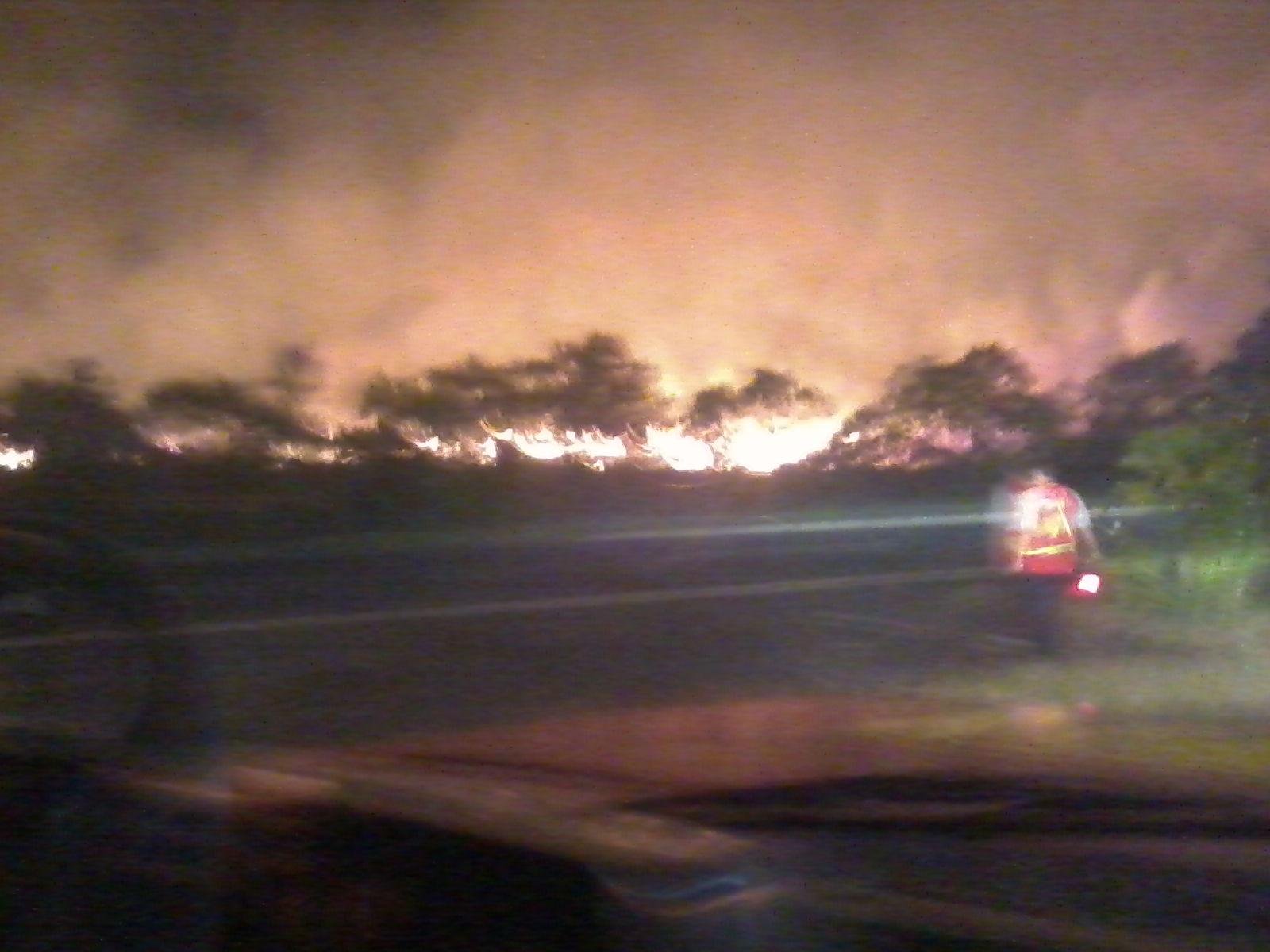	Fogo atingiu mata pr&oacute;xima da BR 290	