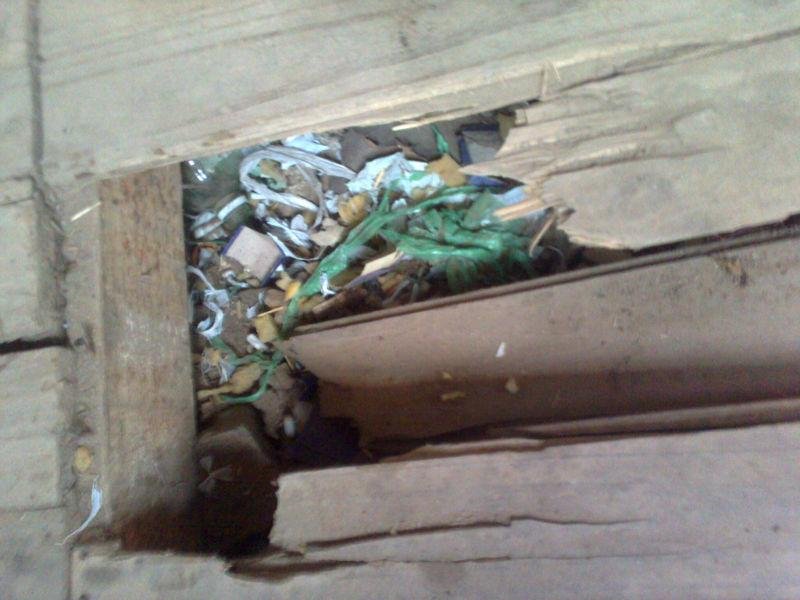 Cerca de 1,1 quilos de maconha foram apreendidas