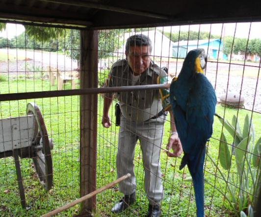 Ave estava no local h&aacute; 23 anos, desde que foi deixada por um caminhoneiro 