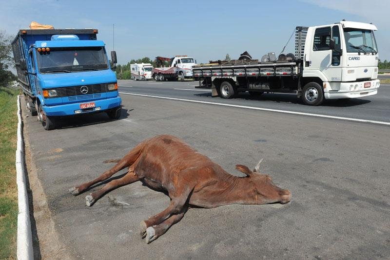 Colis&atilde;o entre dois caminh&otilde;es fecha duas pistas da freeway e deixa cerca de um quil&ocirc;metro de tr&acirc;nsito lento