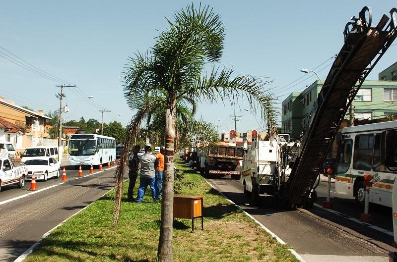 Projeto deve levar 21 meses para ser finalizado