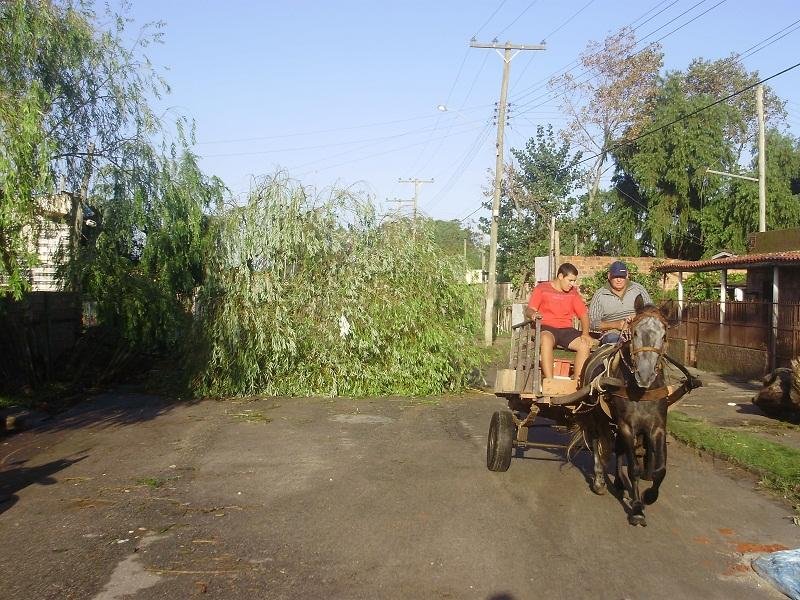 As rajadas de vento chegaram a 130 km/h