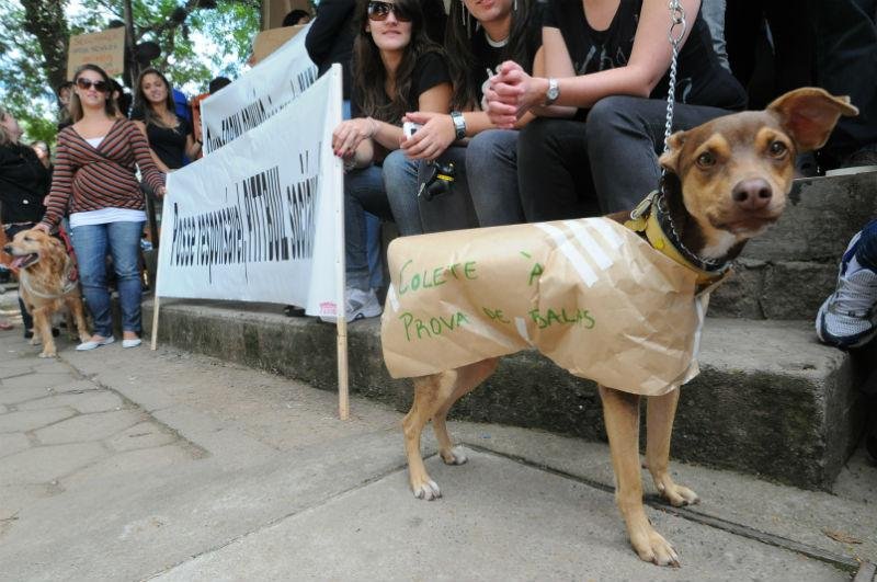 Alunos levaram c&atilde;es para protestar contra morte de pitbull