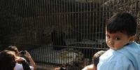Público lotou o Zoológico de Sapucaia neste feriado