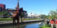 Cavalo caiu no arroio Dilúvio em Porto Alegre