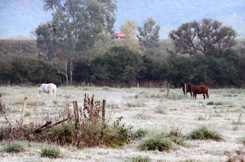 Rio Grande do Sul teve madrugada de geada e marcas negativas