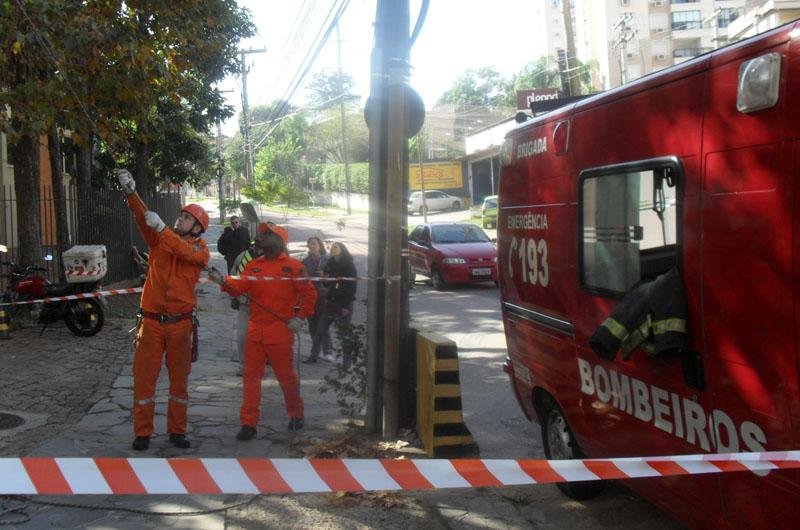 Gata &eacute; resgatada ap&oacute;s ficar seis dias presa em &aacute;rvore em Porto Alegre