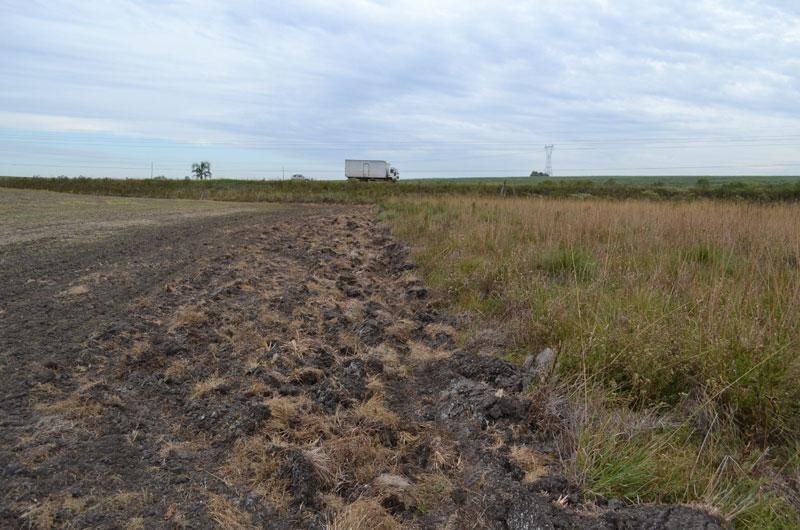 Regi&otilde;es produtoras de gado sofrem com a falta de &aacute;gua