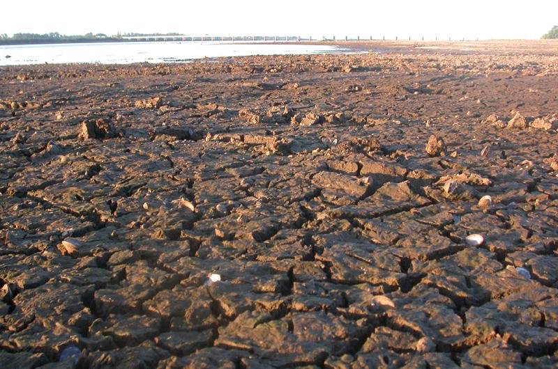 Munic&iacute;pios ga&uacute;chos precisam de ajuda para ter acesso &agrave; &aacute;gua pot&aacute;vel 