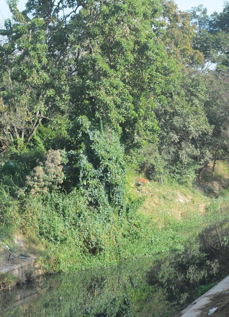 Arroio Dil&uacute;vio corta a zona Leste pela avenida Ipiranga