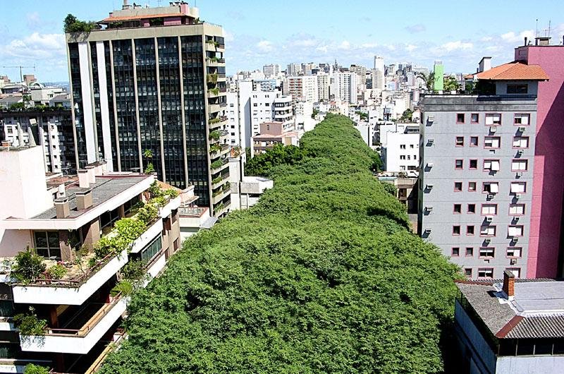 Rua Gon&ccedil;alo de Carvalho &eacute; um exemplo dos chamados t&uacute;neis verdes